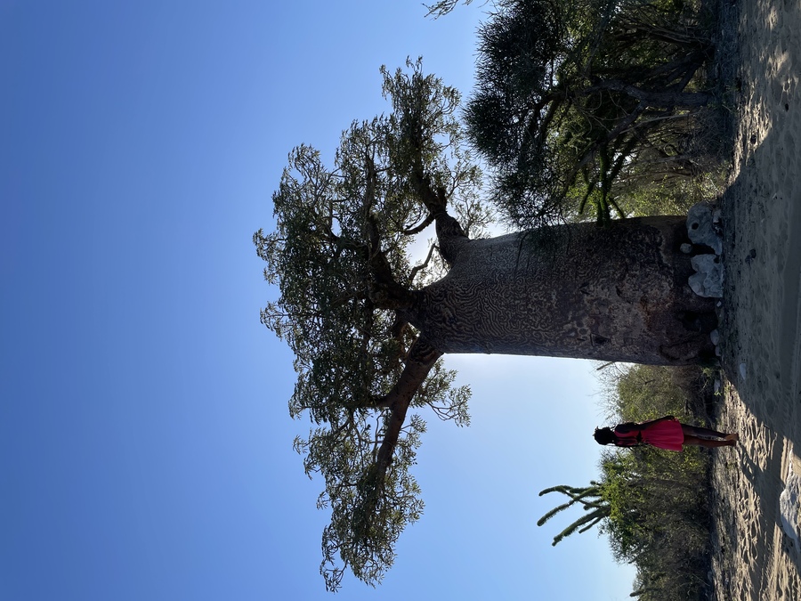 À Travers Madagascar : Du Centre aux Merveilles Côtières