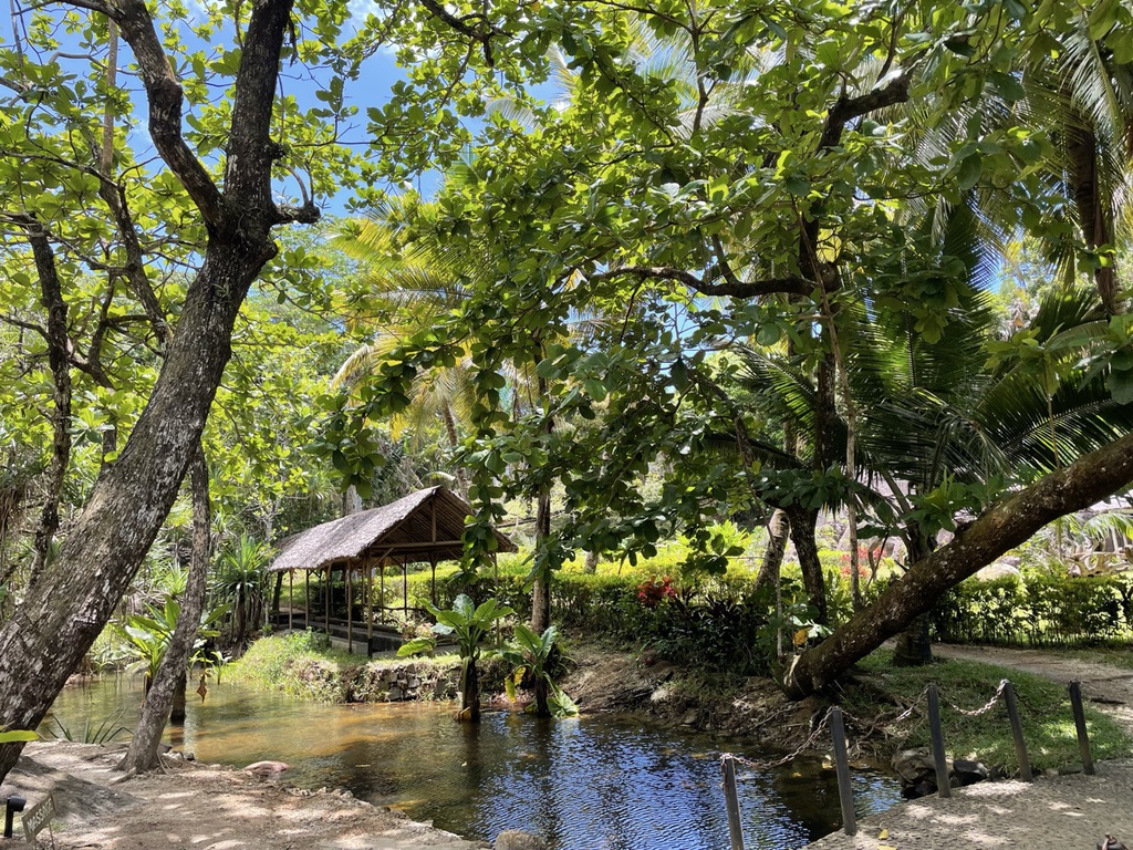 Sainte Marie, nature sauvage